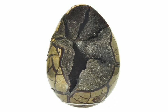 Septarian Dragon Egg Geode - Black Crystals #224200